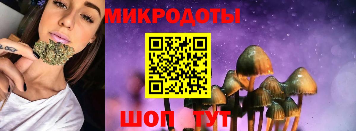 Новочебоксарск  Галлюциногенные грибы Psilocybine cubensis  Вход с VPN 